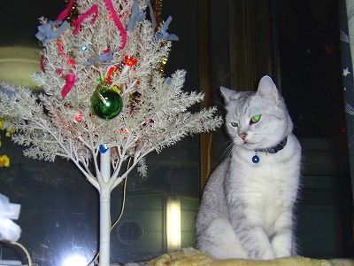 クリスマスにゃ