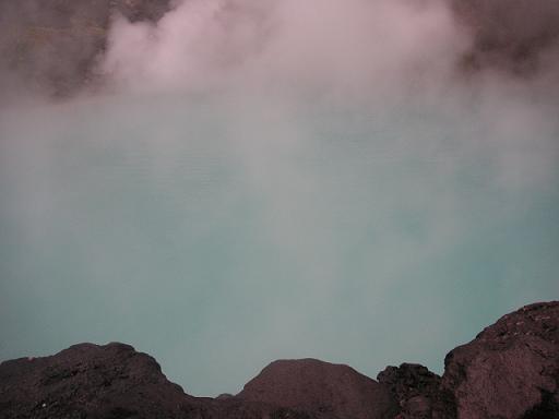 海