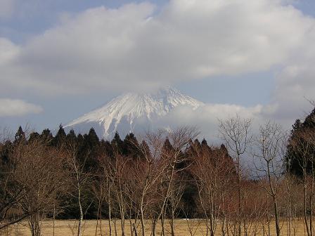 富士山登場！