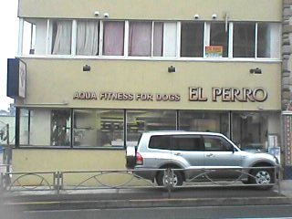 20060115_なぞの店