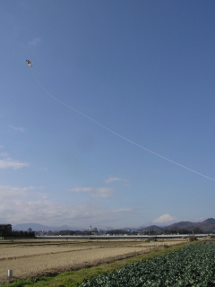 富士山と凧