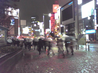 雪・新宿2012年１月