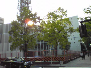 マリンタワー2009春・改装中