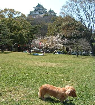 和歌山城公園２