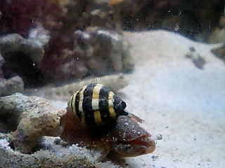 071012_1841~0002.jpg