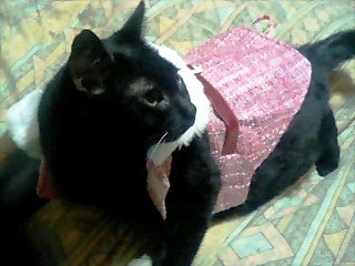 071118_2139~0001.jpg