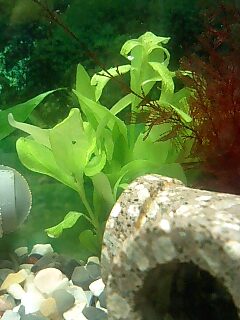 071017_1012~0004.jpg
