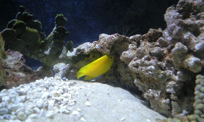 090203_1202~0001.jpg