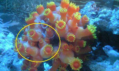 090520_1108~0001.jpg