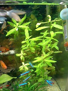 071023_1526~0001.jpg