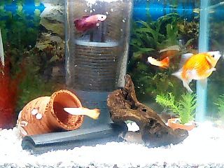 071016_1808~0003.jpg