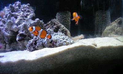 090117_2139~0002.jpg