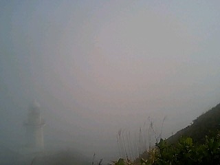 070530_1613~0001.jpg