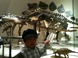 s-IMG_0686.jpg