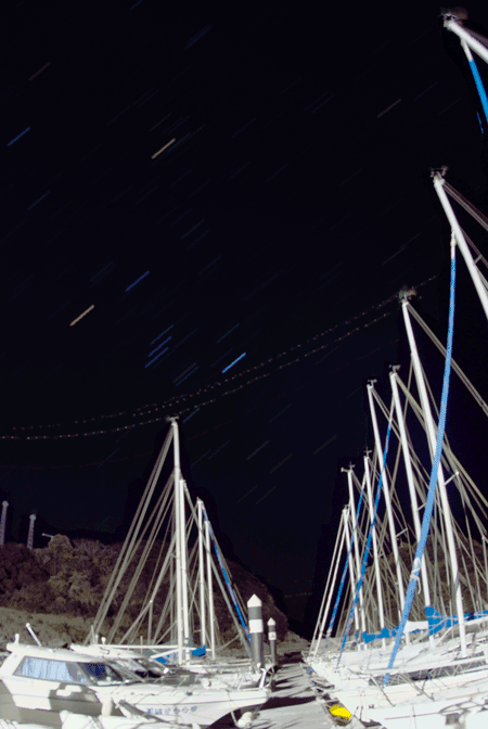 010910_Miyagawa-Star-2