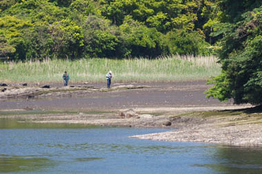 0515_Koaziro-2