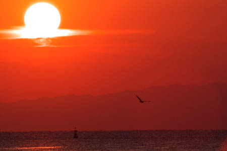 022110_MitohamaSunset-2