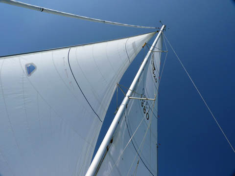 0904_Evolution-2