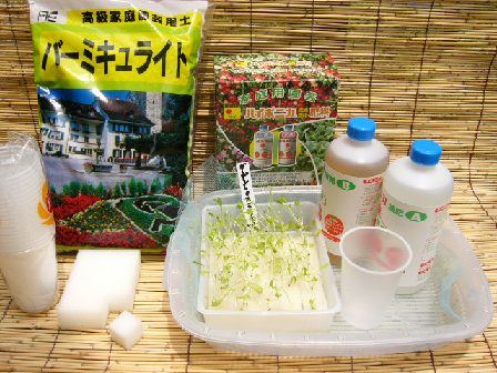 水耕栽培の資材はたったこれだけです。