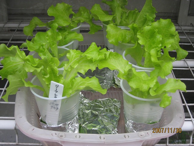 2007.11.30 037.jpg