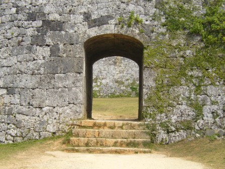 不思議の国への入り口!?