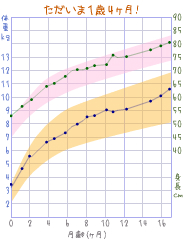 mygraph-1歳４ヶ月