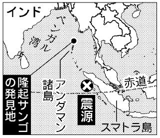 隆起サンゴの発見地