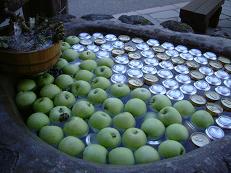 青りんご＆ビール