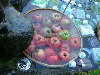 ひんやりトマト～♪