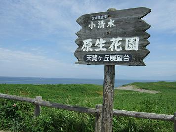 小清水原生花園