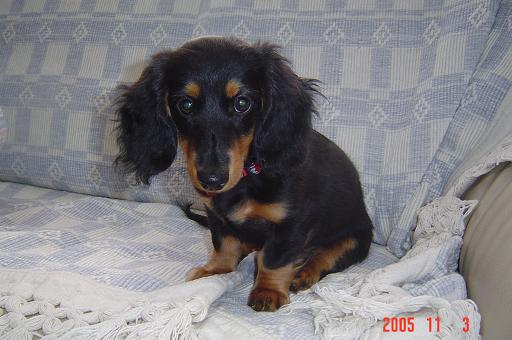 2005-11-21 15:21:46