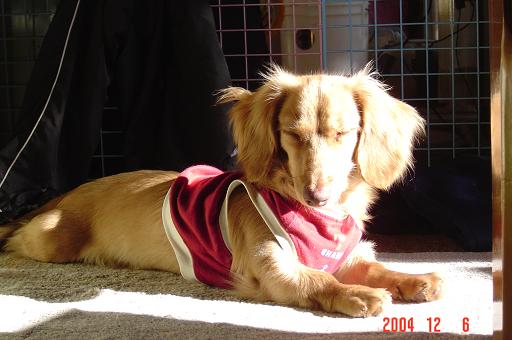 2005-09-30 19:07:27