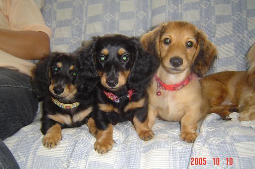 2005-11-03 09:04:24