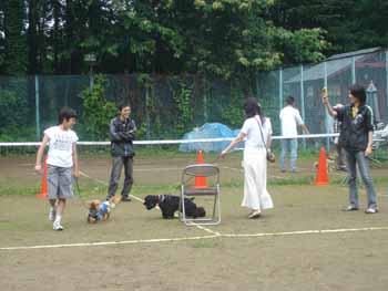 060709幼稚園椅子とりゲーム