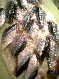 060915_04.jpg