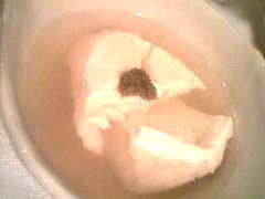 061006_2316~01.jpg