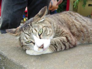 なんかもんくあっか？