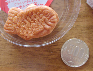 実はこんな大きさ