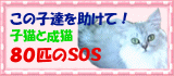 80匹のＳＯＳ.gif