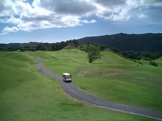 こぶの上から見下ろす