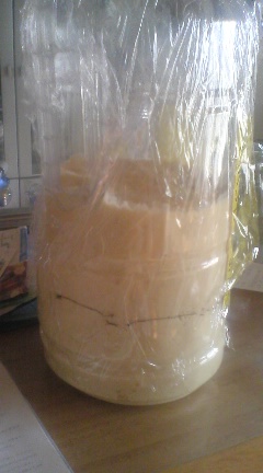 酵母が膨らんだ状態