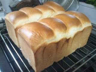 食パン１
