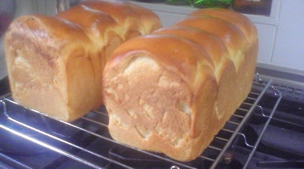 手作り酵母パン