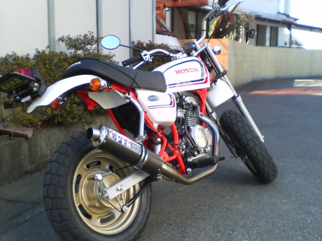 ape3