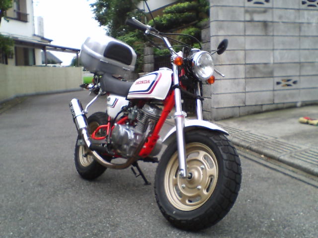 ape12