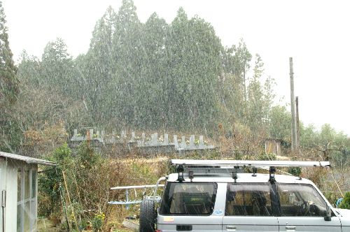 残念ながら積もらなかった！