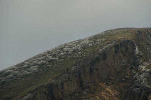 霧氷！が山頂付近に・・・２