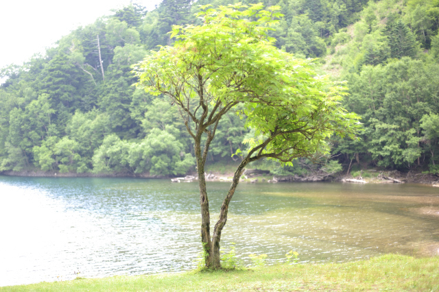 ただ、君を愛してる　ロケ地