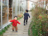 DSC00338.gif