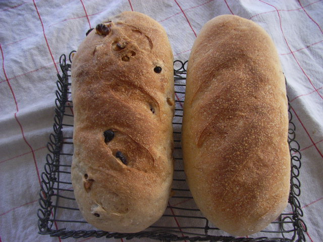 RIMG0463.JPG
